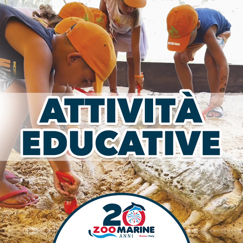 Attivita Educative Per Gite Scolastiche Zoomarine Parco Giardino Zoologico Roma